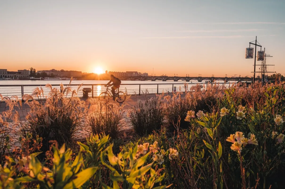 Vue au coucher de soleil de la Garonne à Bordeaux avec un cycliste sur la promenade riveraine, fleurs jaunes au premier plan, ponts visibles au loin et bâtiments historiques le long du fleuve.