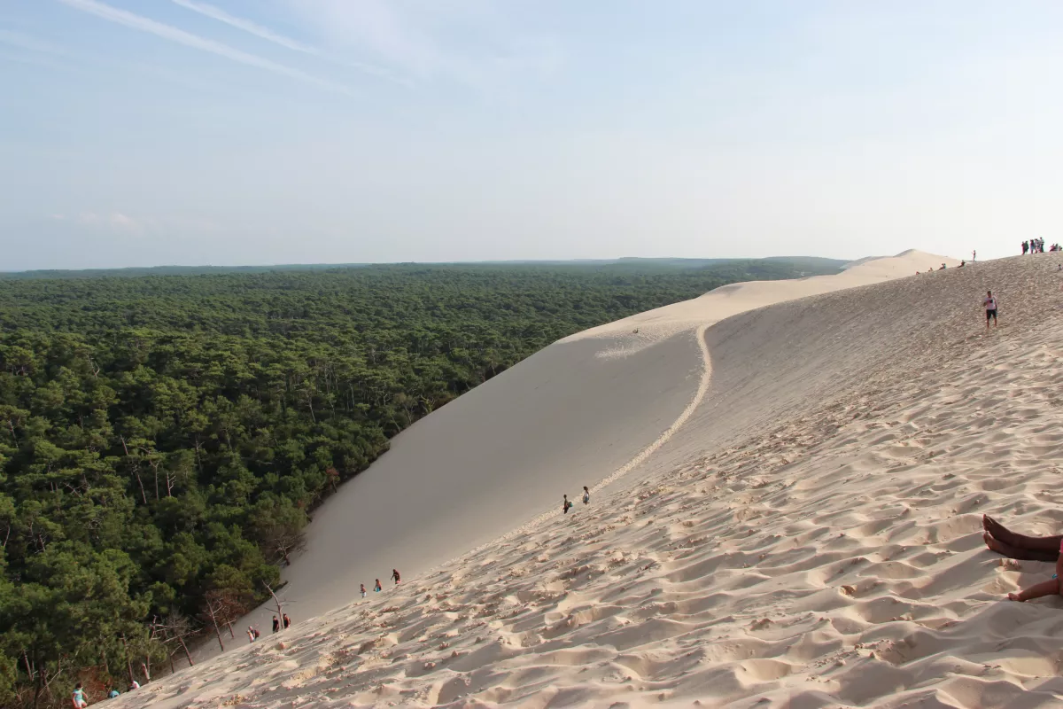 Ophorus - Dune du Pilat