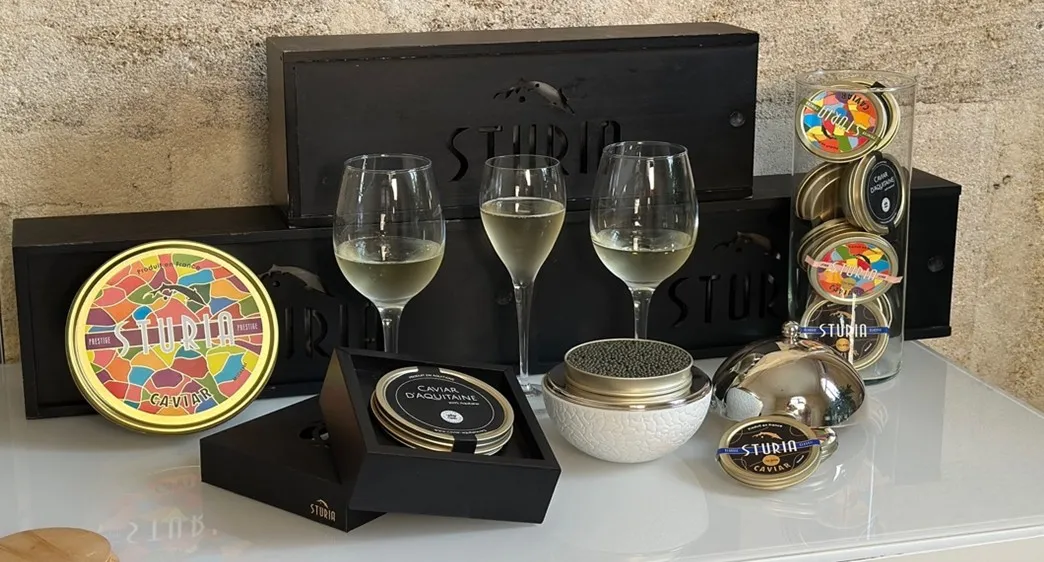 Ensemble de dégustation caviar et champagne de luxe Sturm présentant le caviar d'Aquitaine premium, trois verres de vin blanc, enseigne néon, assiettes décoratives et emballages de marque sur surface blanche