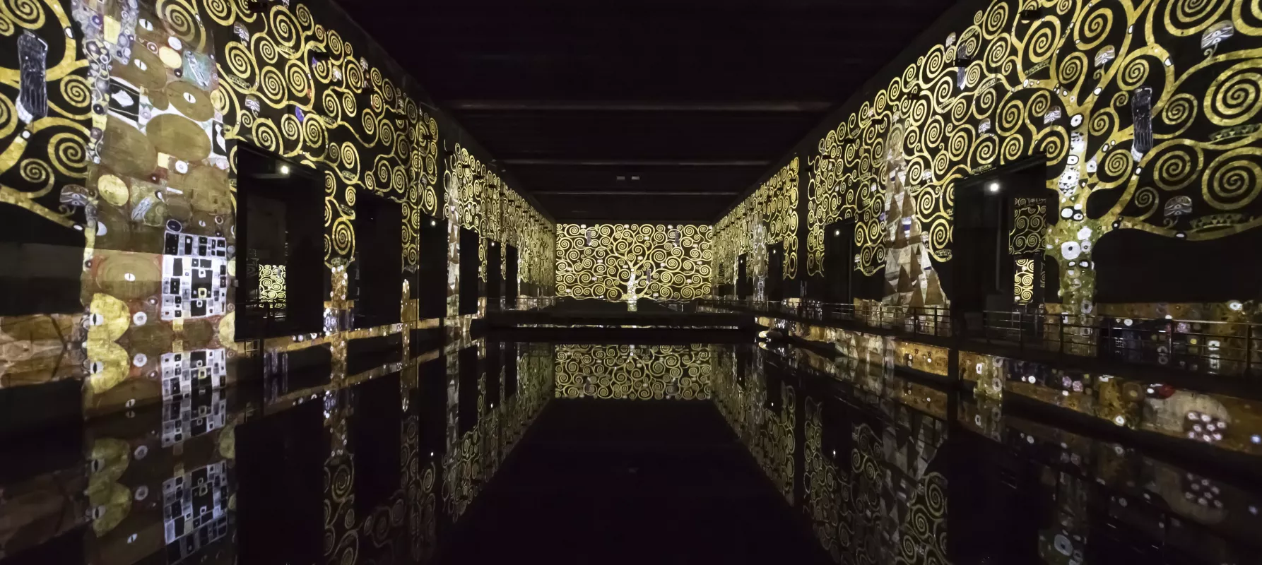 Klimt aux Bassins de Lumières