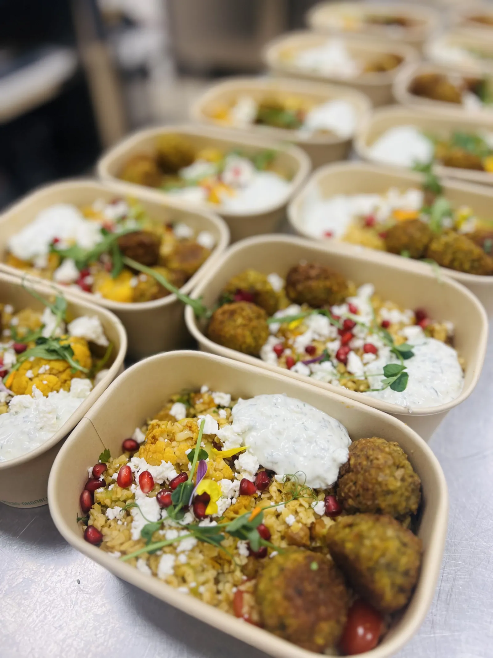 Plusieurs barquettes contenant des falafels, du riz pilaf, une sauce blanche, des graines de grenade et des herbes fraîches