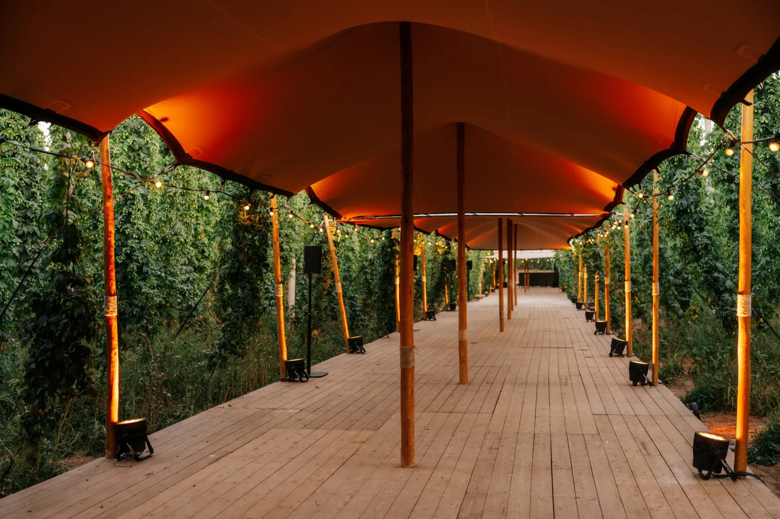 Passage couvert contemporain avec terrasse en bois, murs végétalisés de lierre de chaque côté, colonnes de soutien en bois et plafond en voûte tonnelle orange illuminé à Bordeaux.