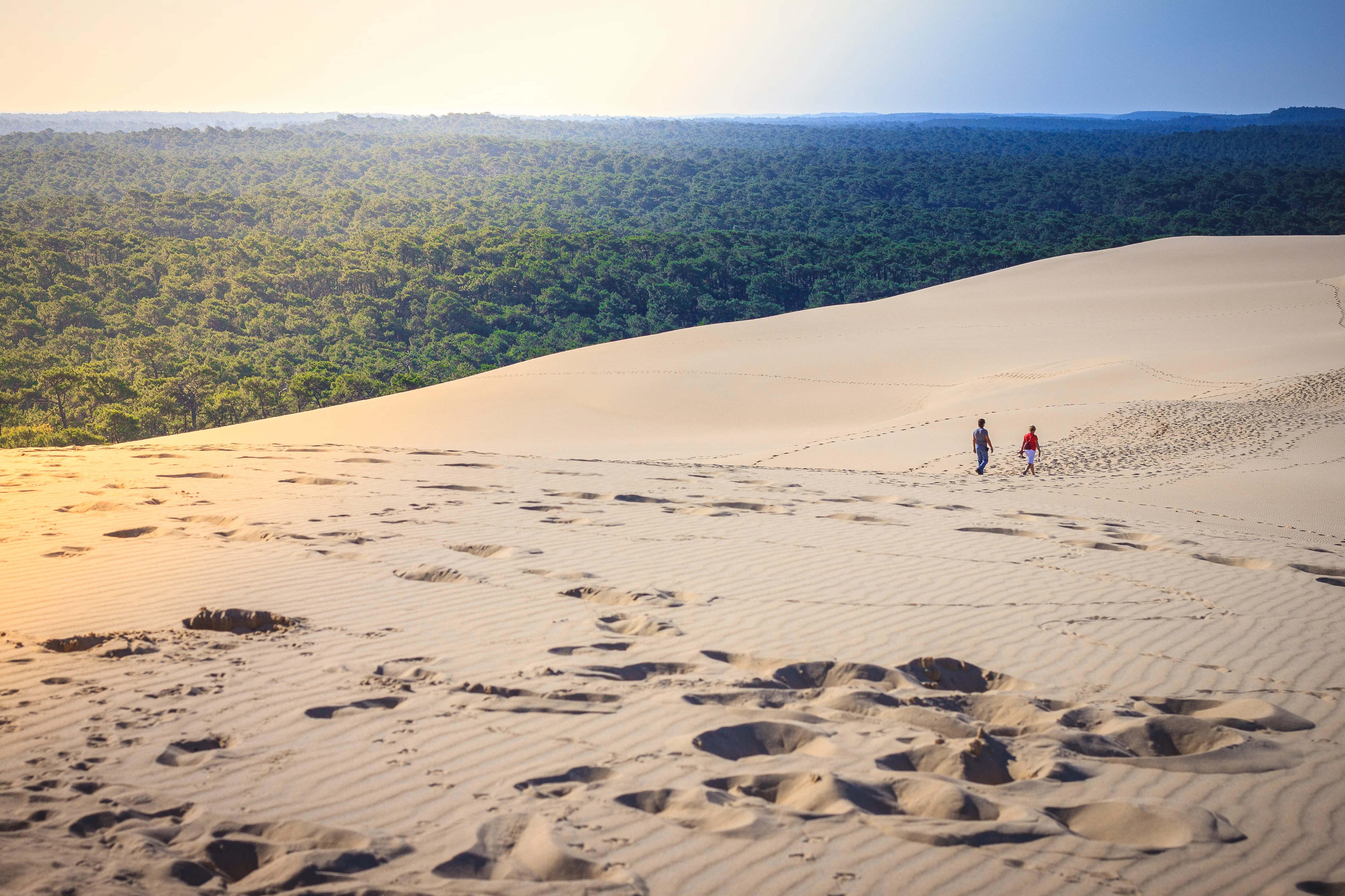 dune du pilat