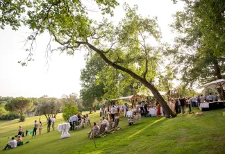 Réception de mariage en plein air dans un parc verdoyant près de Bordeaux, avec des invités assis sous des parasols blancs et un arbre courbé spectaculaire, des tentes de restauration visibles en arrière-plan.