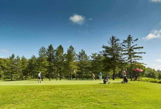 Golfeurs jouant par beau temps sur un parcours de golf bien entretenu avec des arbres et des voiturettes de golf à Bordeaux