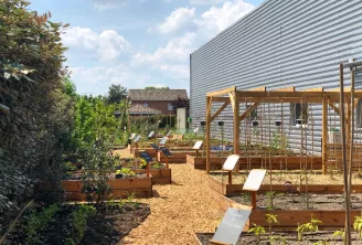 Jardin collectif avec bacs de culture surélevés en bois, structures d'escalade et panneaux informatifs blancs, devant un bâtiment moderne et un mur recouvert de lierre