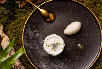 Une assiette noire à bordure dorée sur une surface couverte de mousse, garnie d'une mousse de fromage blanc parsemée de pistaches, d'un élément blanc en forme d'œuf, une cuillère dorée et une sphère translucide, entourés d'éléments naturels.