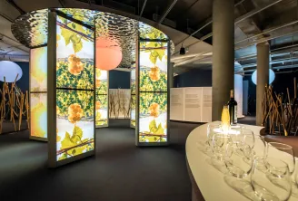 Espace d'exposition interactif avec des panneaux lumineux affichant des vignobles et du raisin, des panneaux informatifs, des bouteilles de vin et des verres de dégustation sur un comptoir blanc, dans un lieu moderne de style industriel à Bordeaux.