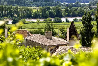 Maison en pierre avec toit en tuiles surplombant les vignobles et la Garonne, encadrée par une végétation verdoyante dans la région viticole de Bordeaux.