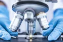 Vue rapprochée d'un microscope avec un objectif à immersion 100x/160 monté sur la platine, les mains gantées de bleu d'un chercheur ajustant l'équipement dans un laboratoire.